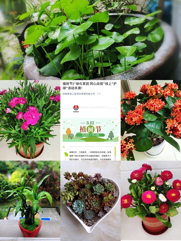 植樹節(jié).JPG