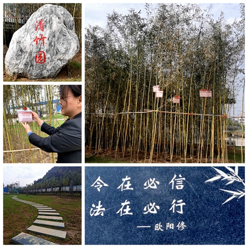 青竹園4.jpg