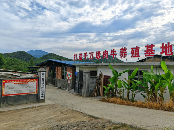 微信圖片_20250512211354_副本.jpg