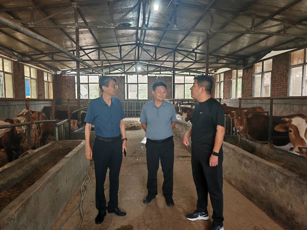 微信圖片_20250604092403_副本.jpg